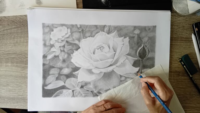 The rose drawing almost ready