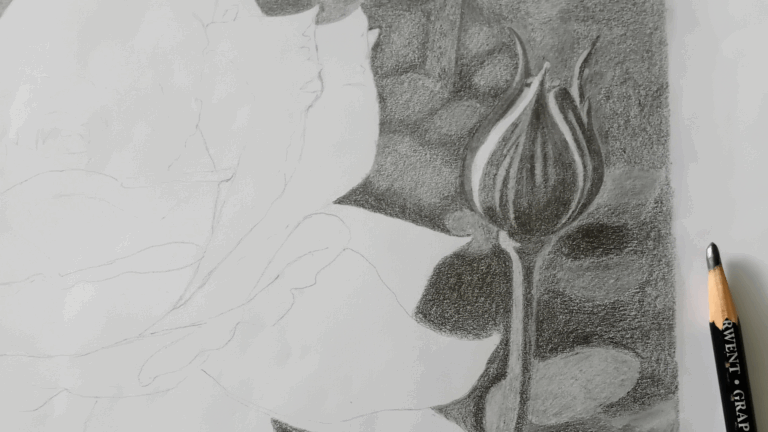 Rose drawing step 2